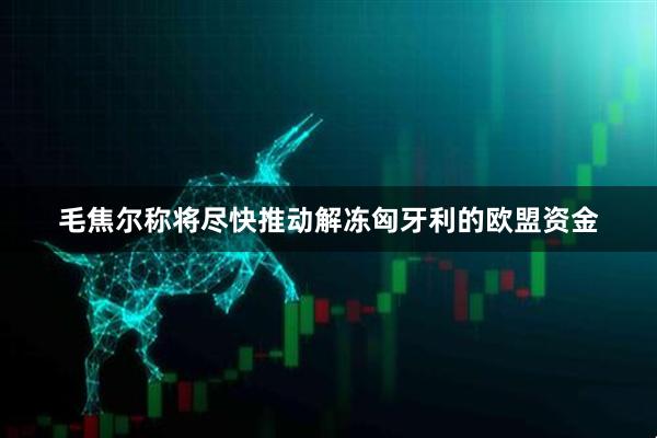 毛焦尔称将尽快推动解冻匈牙利的欧盟资金