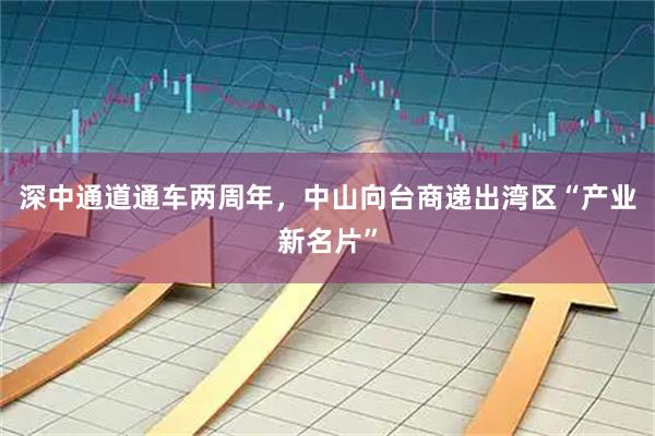 深中通道通车两周年，中山向台商递出湾区“产业新名片”